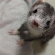 ヒメ日記 2025/07/10 21:44 投稿 【S】すあ E+品川店