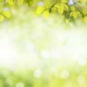 ヒメ日記 2025/08/24 11:16 投稿 あや 変態なんでも鑑定団