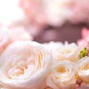 ヒメ日記 2025/08/05 16:33 投稿 えりか若奥 未熟な若奥