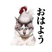 ヒメ日記 2025/11/11 10:52 投稿 ゆりな One More 奥様　西船橋店