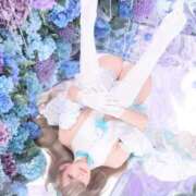 ヒメ日記 2025/09/08 07:03 投稿 アリス ラ・タンゴ