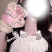 ヒメ日記 2025/11/29 19:54 投稿 つきの☆REGULAR Club ACE ～クラブエース～ 山口店