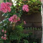 ヒメ日記 2025/08/08 17:12 投稿 月詩もも お姉さんCLUB