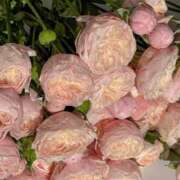 ヒメ日記 2025/08/11 05:54 投稿 月詩もも お姉さんCLUB