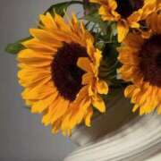 ヒメ日記 2025/08/29 01:33 投稿 月詩もも お姉さんCLUB