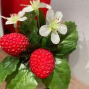 ヒメ日記 2025/09/13 06:51 投稿 月詩もも お姉さんCLUB