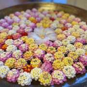 ヒメ日記 2025/09/18 06:30 投稿 月詩もも お姉さんCLUB