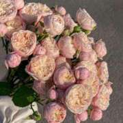 ヒメ日記 2025/09/21 15:13 投稿 月詩もも お姉さんCLUB