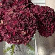 ヒメ日記 2025/09/22 21:09 投稿 月詩もも お姉さんCLUB