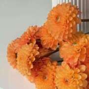 ヒメ日記 2025/09/23 07:09 投稿 月詩もも お姉さんCLUB