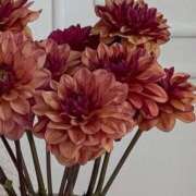 ヒメ日記 2025/09/28 06:51 投稿 月詩もも お姉さんCLUB