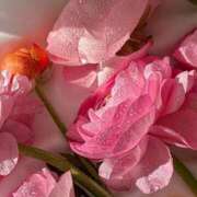 ヒメ日記 2025/10/12 06:57 投稿 月詩もも お姉さんCLUB