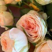 ヒメ日記 2025/11/01 10:20 投稿 月詩もも お姉さんCLUB