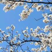 ヒメ日記 2025/11/01 20:21 投稿 月詩もも お姉さんCLUB