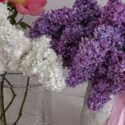 ヒメ日記 2025/11/10 12:12 投稿 月詩もも お姉さんCLUB