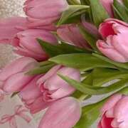 ヒメ日記 2025/11/12 08:33 投稿 月詩もも お姉さんCLUB