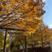 ヒメ日記 2025/11/18 12:20 投稿 月詩もも お姉さんCLUB