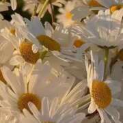 ヒメ日記 2025/11/25 21:51 投稿 月詩もも お姉さんCLUB