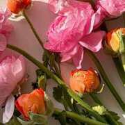 ヒメ日記 2025/11/27 15:21 投稿 月詩もも お姉さんCLUB