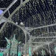 ヒメ日記 2025/12/25 06:48 投稿 月詩もも お姉さんCLUB