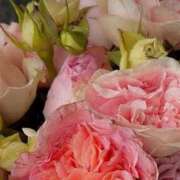 ヒメ日記 2026/01/11 12:49 投稿 月詩もも お姉さんCLUB