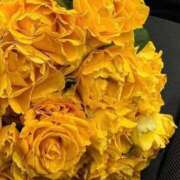 ヒメ日記 2026/01/13 06:48 投稿 月詩もも お姉さんCLUB