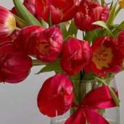 月詩もも GM🌼 お姉さんCLUB