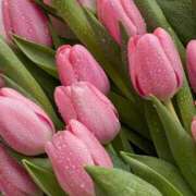 ヒメ日記 2026/01/24 06:48 投稿 月詩もも お姉さんCLUB