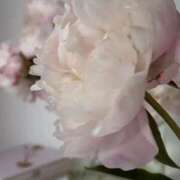 ヒメ日記 2026/01/24 13:34 投稿 月詩もも お姉さんCLUB