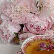 ヒメ日記 2026/02/12 23:48 投稿 月詩もも お姉さんCLUB