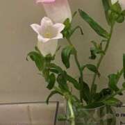 ヒメ日記 2026/02/14 06:57 投稿 月詩もも お姉さんCLUB