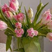 ヒメ日記 2026/03/11 14:04 投稿 月詩もも お姉さんCLUB