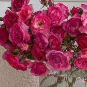 ヒメ日記 2026/03/24 07:12 投稿 月詩もも お姉さんCLUB