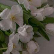 ヒメ日記 2026/04/04 20:03 投稿 月詩もも お姉さんCLUB