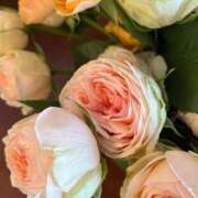 ヒメ日記 2026/04/06 06:48 投稿 月詩もも お姉さんCLUB