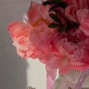 ヒメ日記 2026/04/09 17:20 投稿 月詩もも お姉さんCLUB