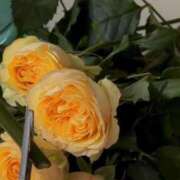 ヒメ日記 2026/04/13 10:04 投稿 月詩もも お姉さんCLUB