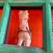 ヒメ日記 2026/01/02 18:43 投稿 しょうこ 千葉人妻花壇