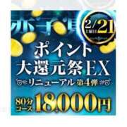 ヒメ日記 2026/02/17 19:29 投稿 しょうこ 千葉人妻花壇