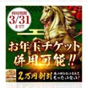 ヒメ日記 2026/03/03 13:18 投稿 しょうこ 千葉人妻花壇