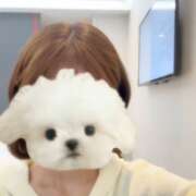 ヒメ日記 2025/07/11 21:18 投稿 ゆり★奇跡のGカップ美少女★ S級素人清楚系デリヘル chloe