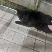 ヒメ日記 2025/07/07 18:39 投稿 岡福(おかふく) 八王子人妻城