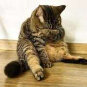 ヒメ日記 2025/07/08 02:03 投稿 岡福(おかふく) 八王子人妻城