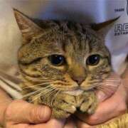 ヒメ日記 2025/07/16 21:00 投稿 岡福(おかふく) 八王子人妻城