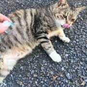 ヒメ日記 2025/07/18 18:36 投稿 岡福(おかふく) 八王子人妻城