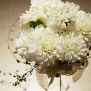 ヒメ日記 2025/07/27 06:15 投稿 岡福(おかふく) 八王子人妻城