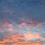 ヒメ日記 2025/07/30 11:54 投稿 岡福(おかふく) 八王子人妻城