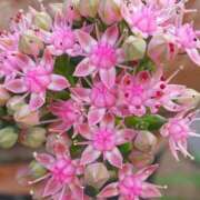 ヒメ日記 2025/07/30 15:24 投稿 岡福(おかふく) 八王子人妻城