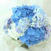 ヒメ日記 2025/08/04 22:42 投稿 岡福(おかふく) 八王子人妻城