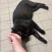 ヒメ日記 2025/08/10 10:21 投稿 岡福(おかふく) 八王子人妻城